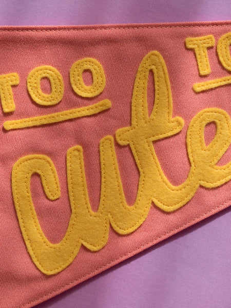 'Too Cute To Care' Canvas Pennant Flag