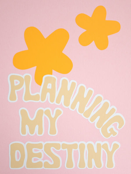 An art print with Planning My Destiny in white and beige text. Two orange flowers sit behind the text.